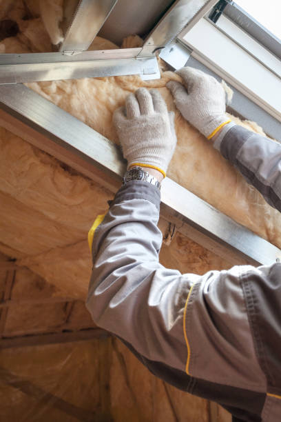 Best Energy Efficiency Solutions in Sturgeon, PA
